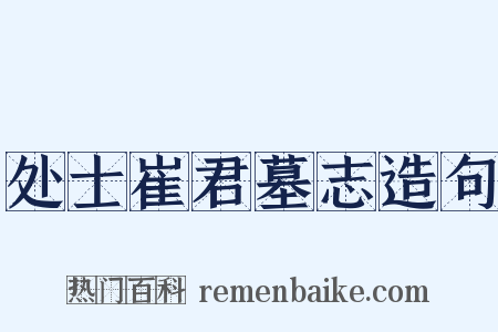 处士崔君墓志造句是什么意思的图片